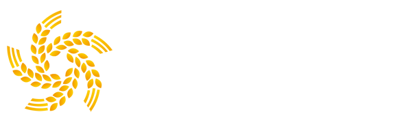 意甲投注